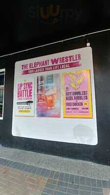 The Elephant Wrestler