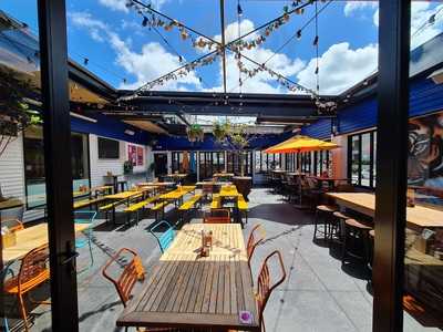 The Elephant Wrestler