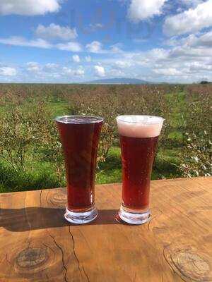 Cafe Irresistiblue At Monavale Blueberries