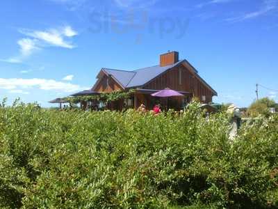 Cafe Irresistiblue At Monavale Blueberries
