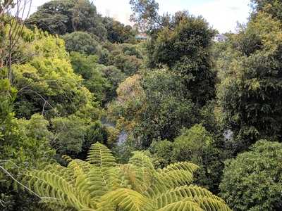 Indian Star Restaurant & Bar