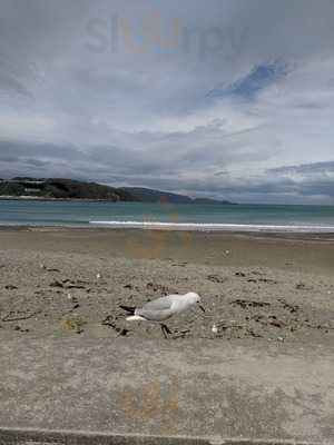 Maranui Surf Lifesaving Cafe