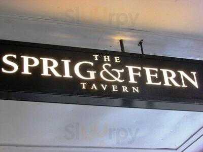 Sprig And Fern Hardy St