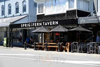 Sprig And Fern Hardy St