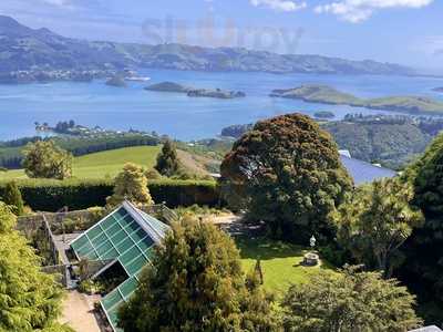 Ballroom Cafe At Larnach Castle