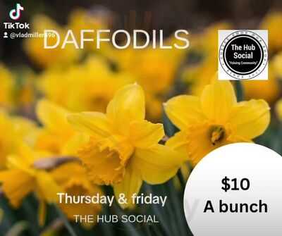 The Hub Social
