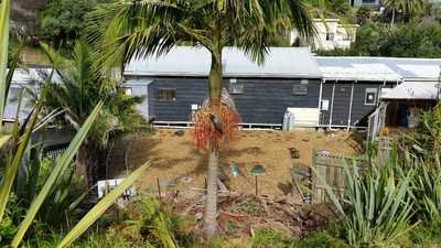 Palm Beach Fish & Chips