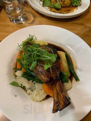 Iguana Bar & Restaurant