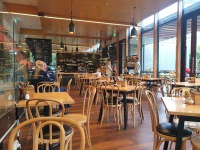 Suter Art Gallery Cafe