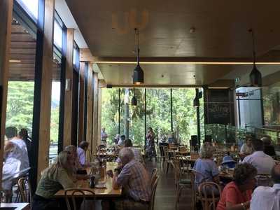 Suter Art Gallery Cafe