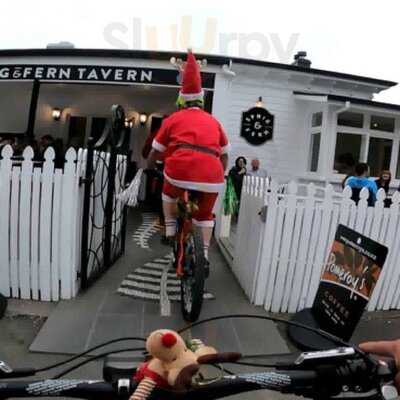 Milton Street Sprig & Fern