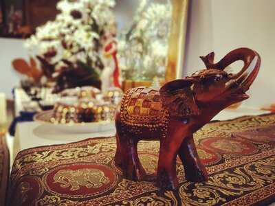 Thai Orchid Restaurant