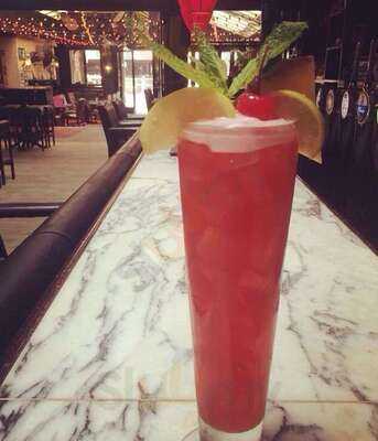 The Bangalore Polo Club