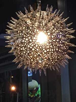 Burgerfuel Fairy Springs