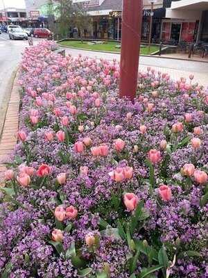 Rotorua District, New Zealand