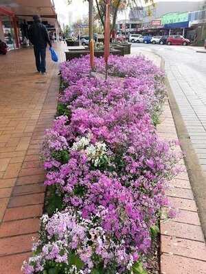 Rotorua District, New Zealand