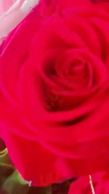 Rumi Persian Cuisine