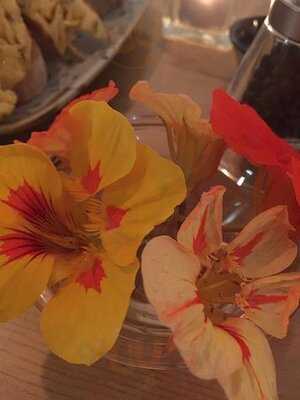 Barcelona Bar Tapas & Wines