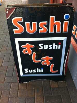 Sushi & Sushi
