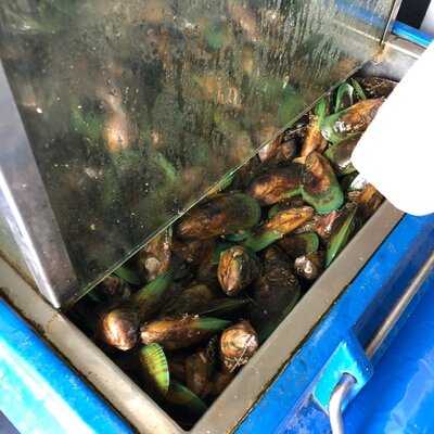 Whakamarama Fresh Fish And Takeaways