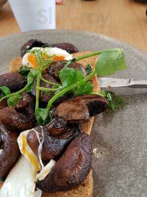 Columbus Mitre 10 Mega Albany