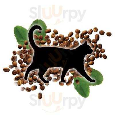 Black Cat Vegan Cafe