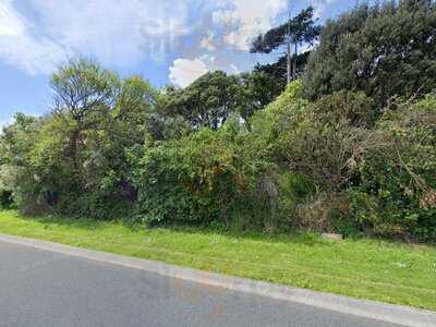 Jugnus's Little India Porirua