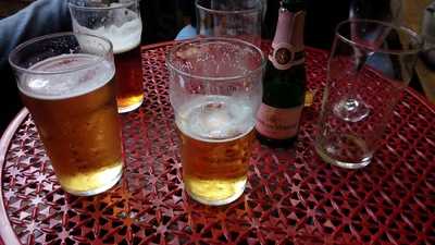 Sprig + Fern Thorndon