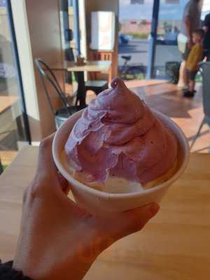 Sunny Nelson Real Fruit Icecream