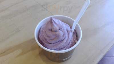 Sunny Nelson Real Fruit Icecream