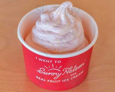Sunny Nelson Real Fruit Icecream