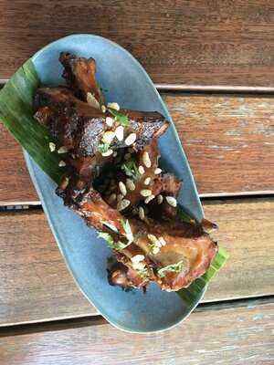 The Good Luck Coconut