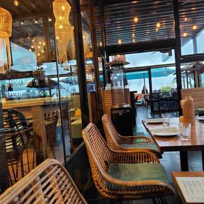 The Good Luck Coconut