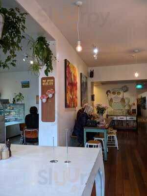 Hello Friends + Allies