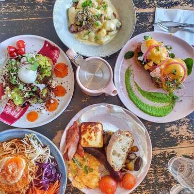 Hello Friends + Allies