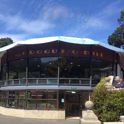 Croque-o-dile In The Gardens