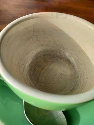 Croque-o-dile In The Gardens