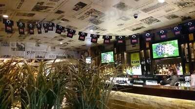 One Good Horse Parklands