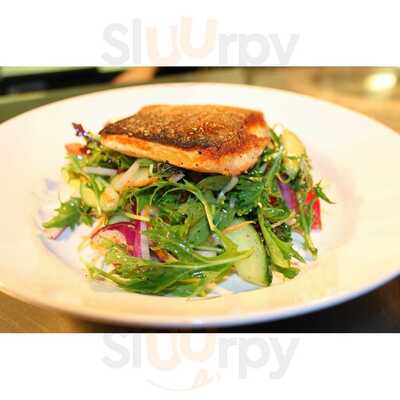 One Good Horse Parklands