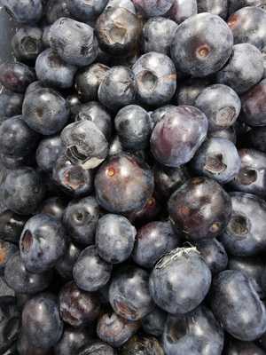 Mcarthurs Berry Farm