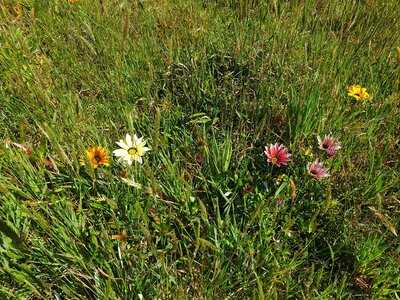 Currach Irish Pub & The Innkeeper's Lodge