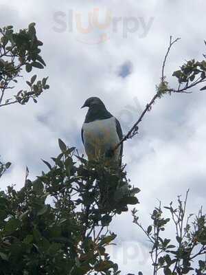 Tipi And Bobs Waterfront Lodge