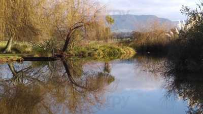 Katikati Bird Gardens Cafe