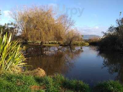 Katikati Bird Gardens Cafe
