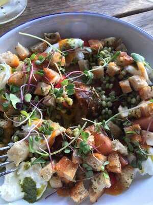 The Parasol & Swing Company