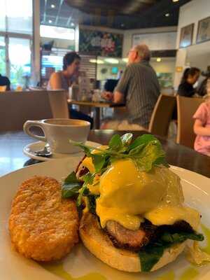 Altura Cafe & Roastery