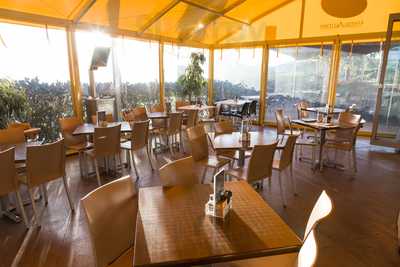 Altura Cafe & Roastery