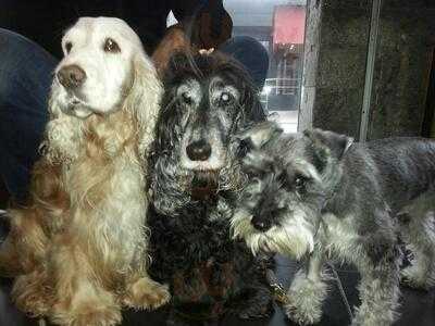 Eclipse Restaurant & Bar