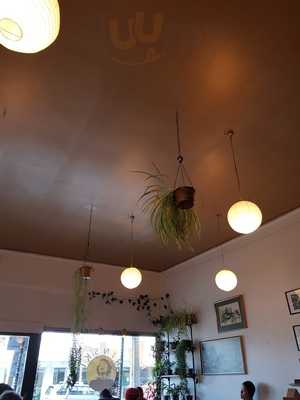 Rinski Korsakov's Cafe