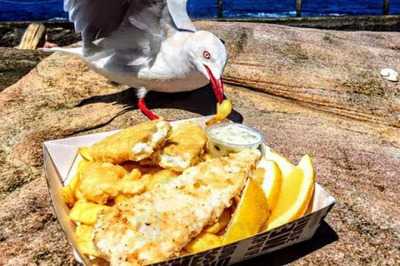 Brooklyn Fish Supply